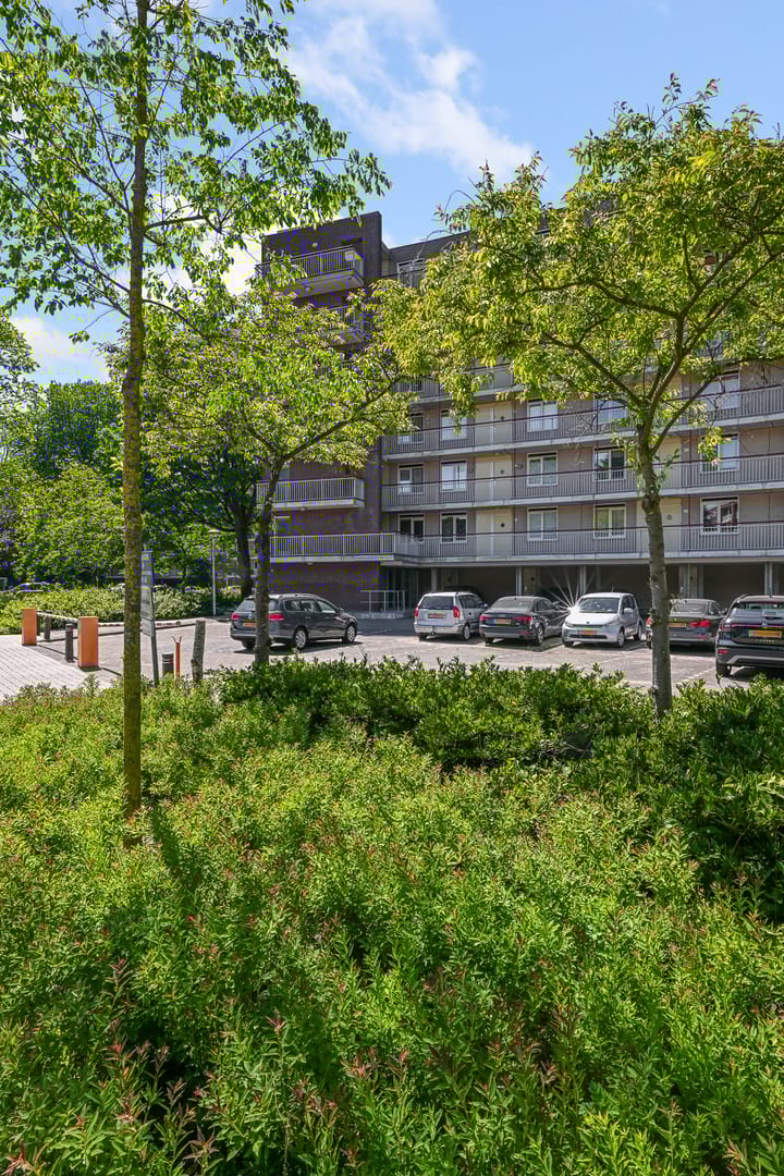 Foto 31 van Adolphine Eduardine Kokplantsoen 64