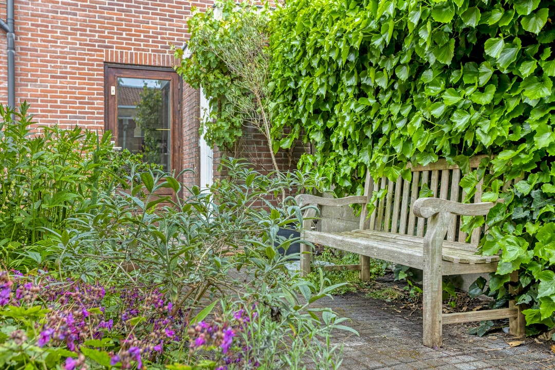 Foto 31 van Zomervaart 84