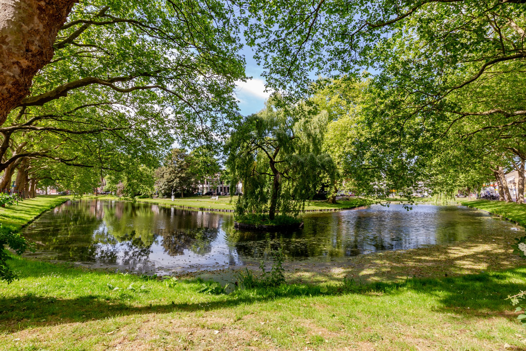 Foto 42 van Vooruitstraat 99