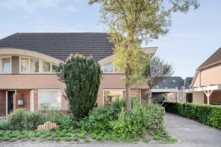 Foto 6 van Bolster 11