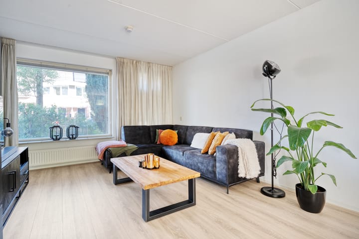 Foto 13 van Bolster 11