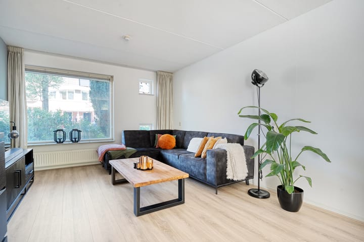 Foto 17 van Bolster 11