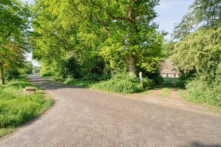 Foto 46 van Bolster 11