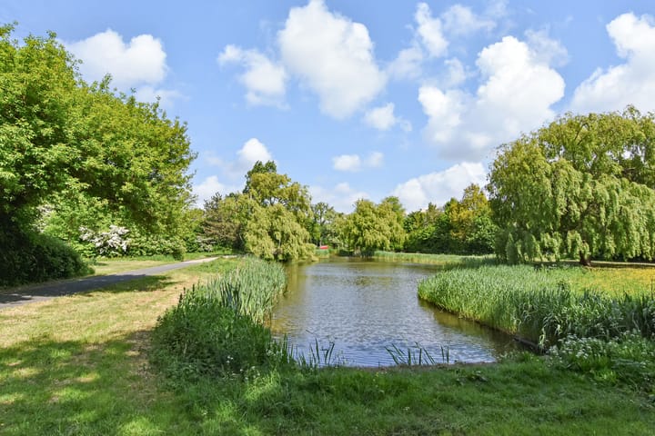 Foto 48 van Goudenregenstraat 325