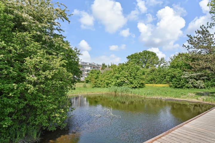 Foto 49 van Goudenregenstraat 325