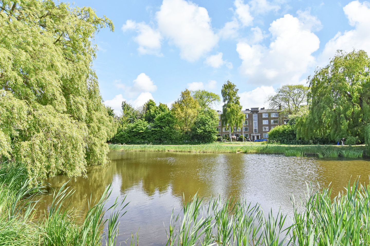 Foto 50 van Goudenregenstraat 325