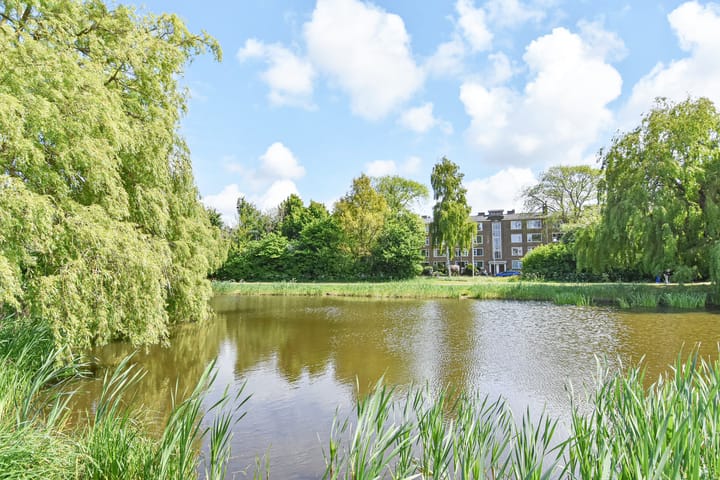 Foto 50 van Goudenregenstraat 325