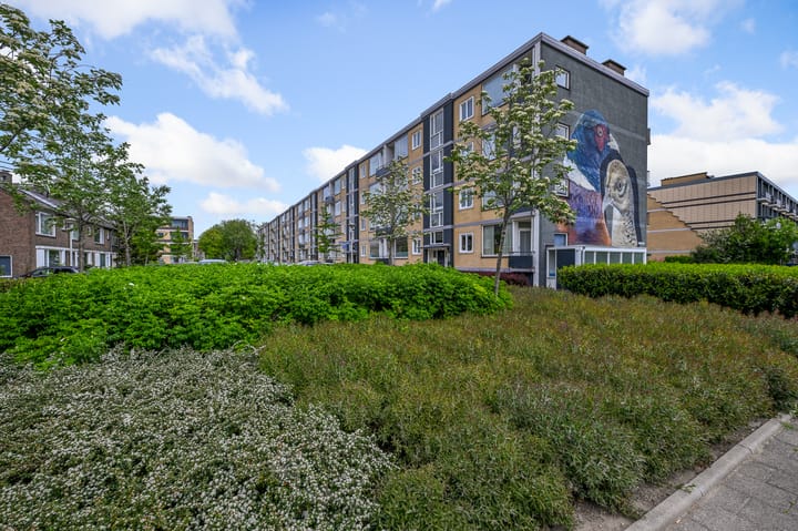 Fazantstraat 16