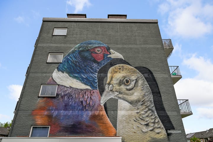 Foto 20 van Fazantstraat 16