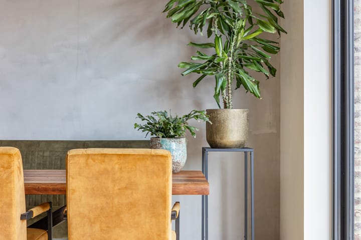 Photo 12 of Oude Kerkstraat 55