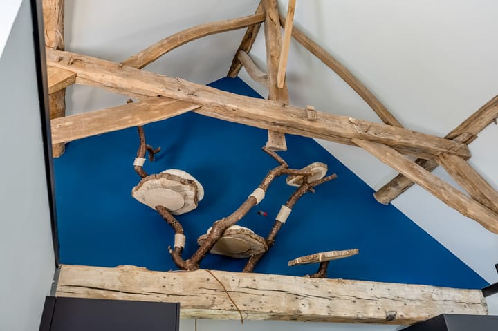 Photo 23 of Oude Kerkstraat 55