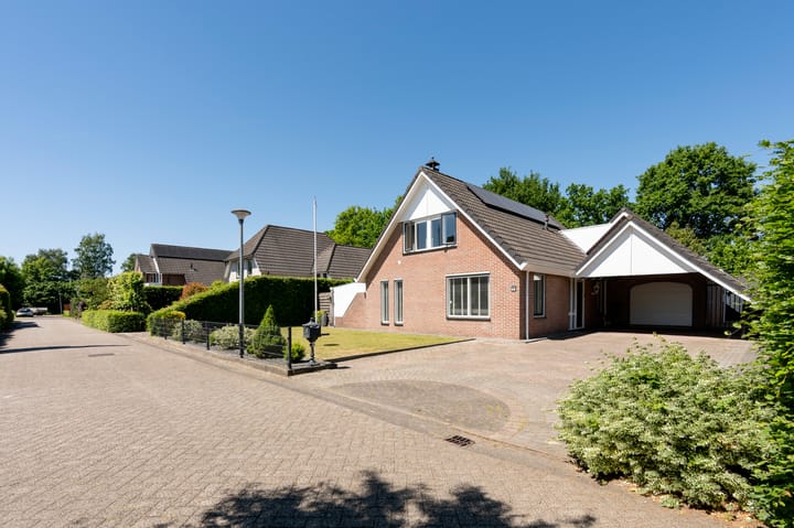 Foto 5 van Zilverreiger 2