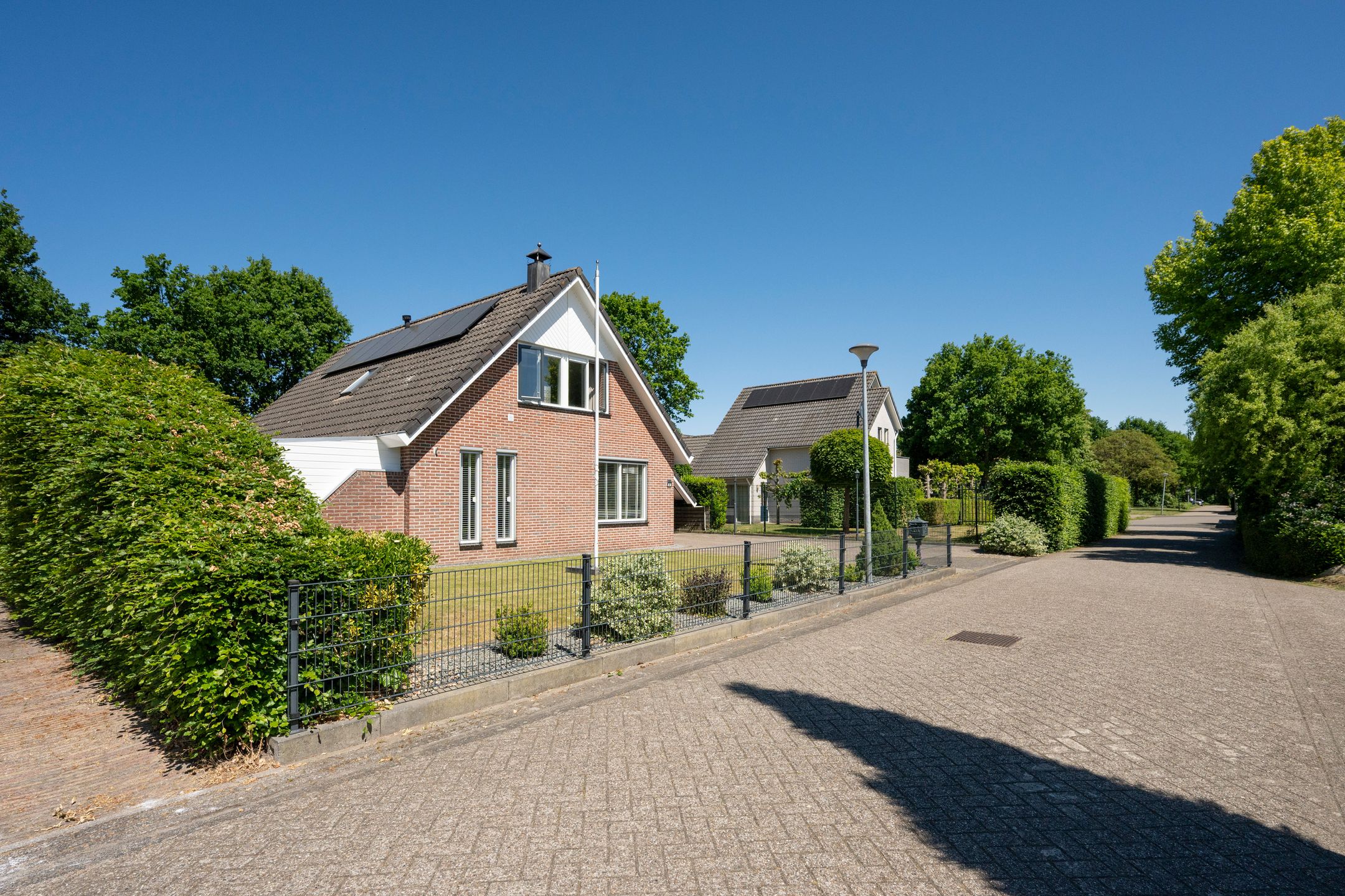 Foto 6 van Zilverreiger 2