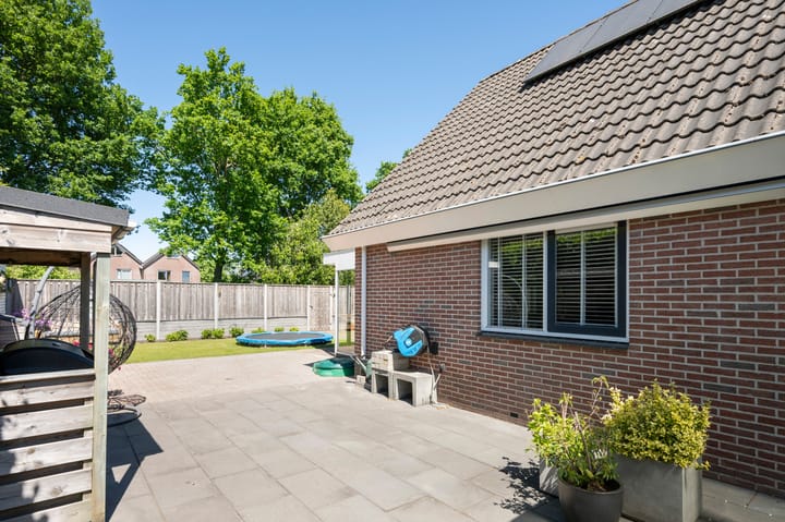 Foto 9 van Zilverreiger 2