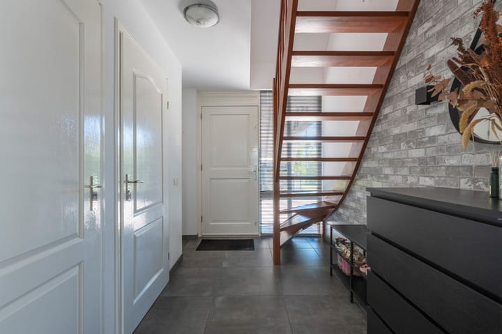 Foto 19 van Zilverreiger 2