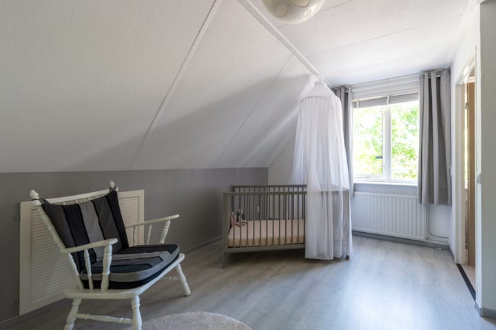 Foto 34 van Zilverreiger 2