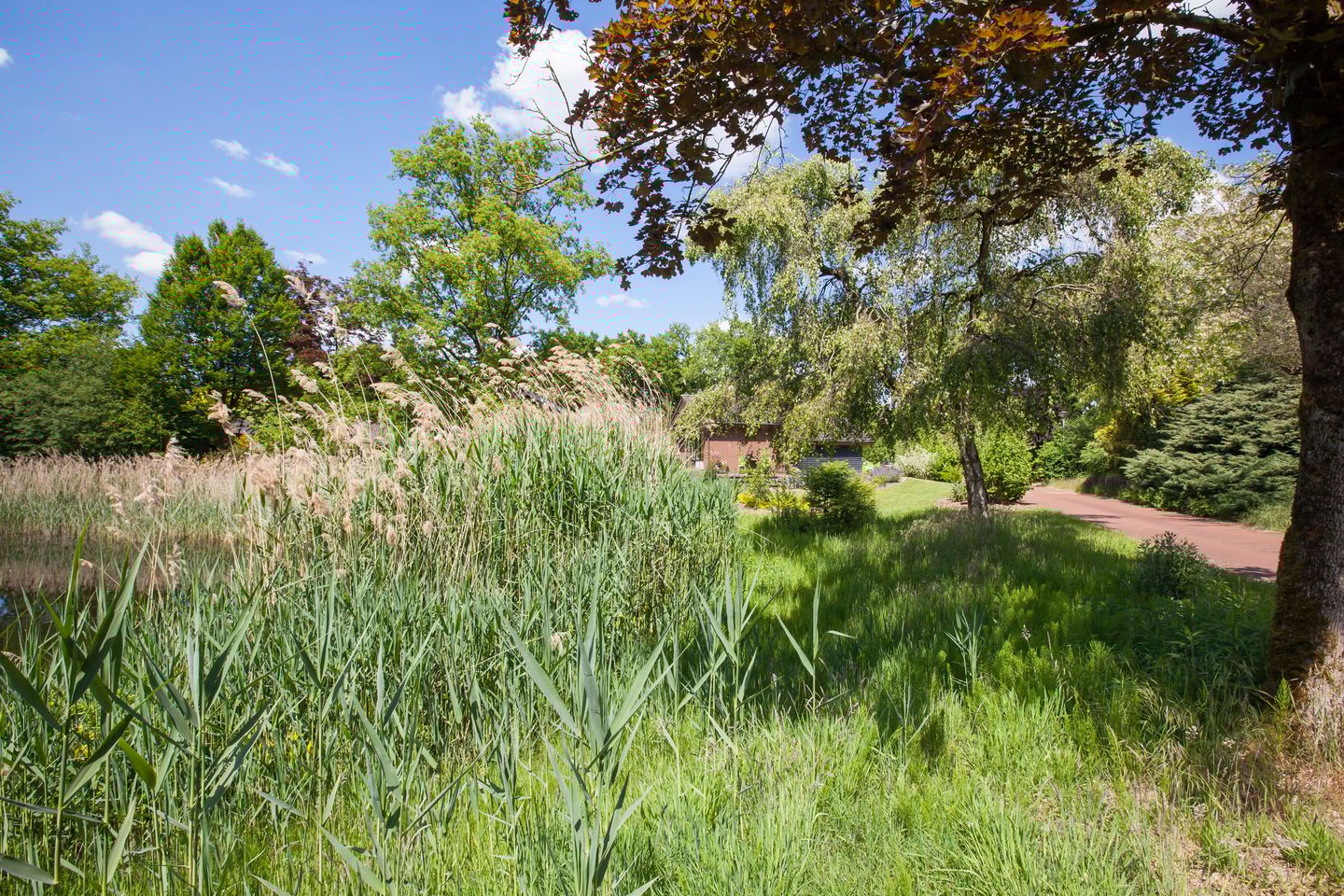 Foto 40 van Loohuisweg 7-13