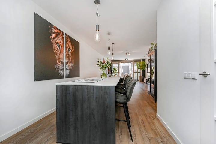 Foto 7 van Zonnebaars 53