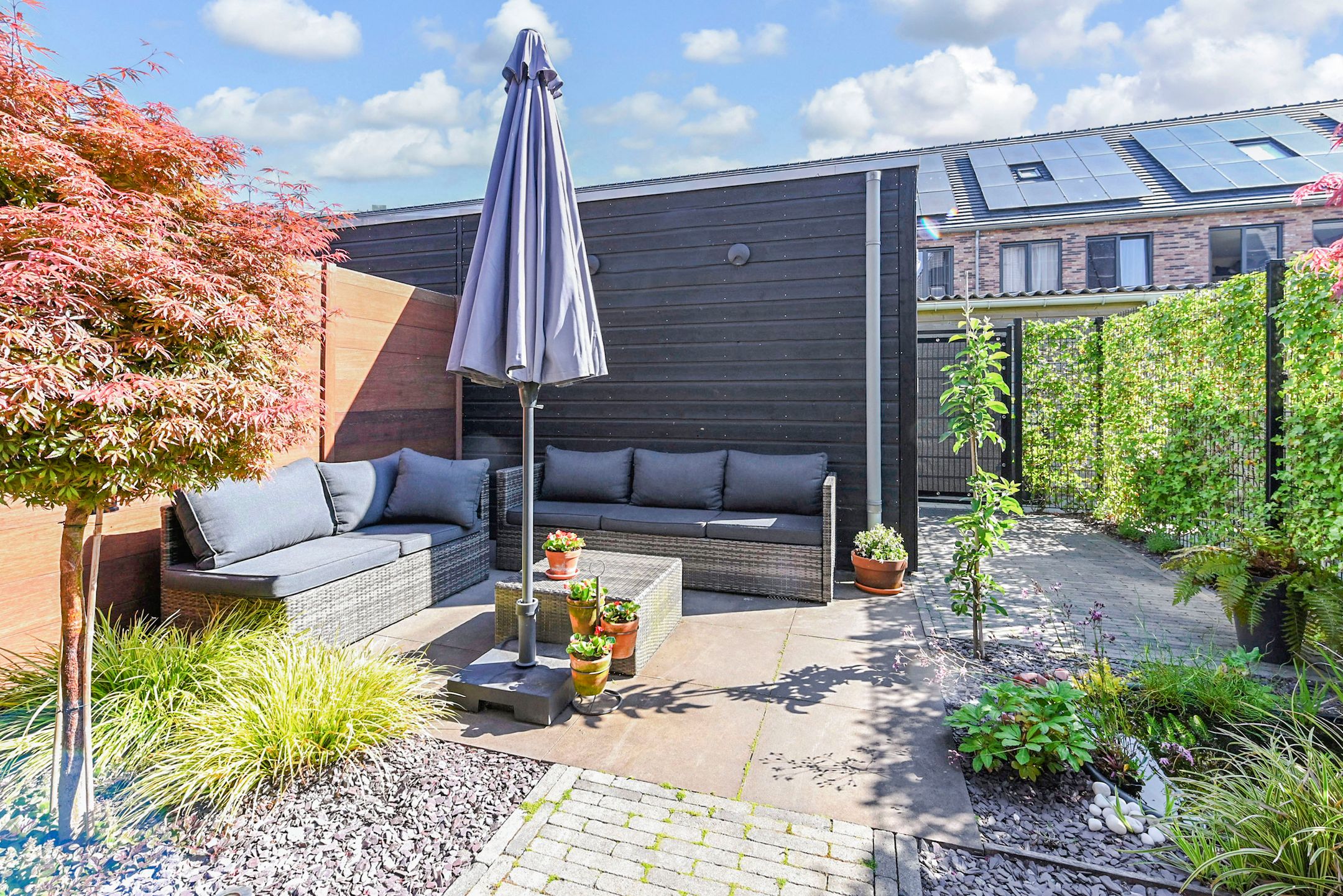 Foto 15 van Zonnebaars 53