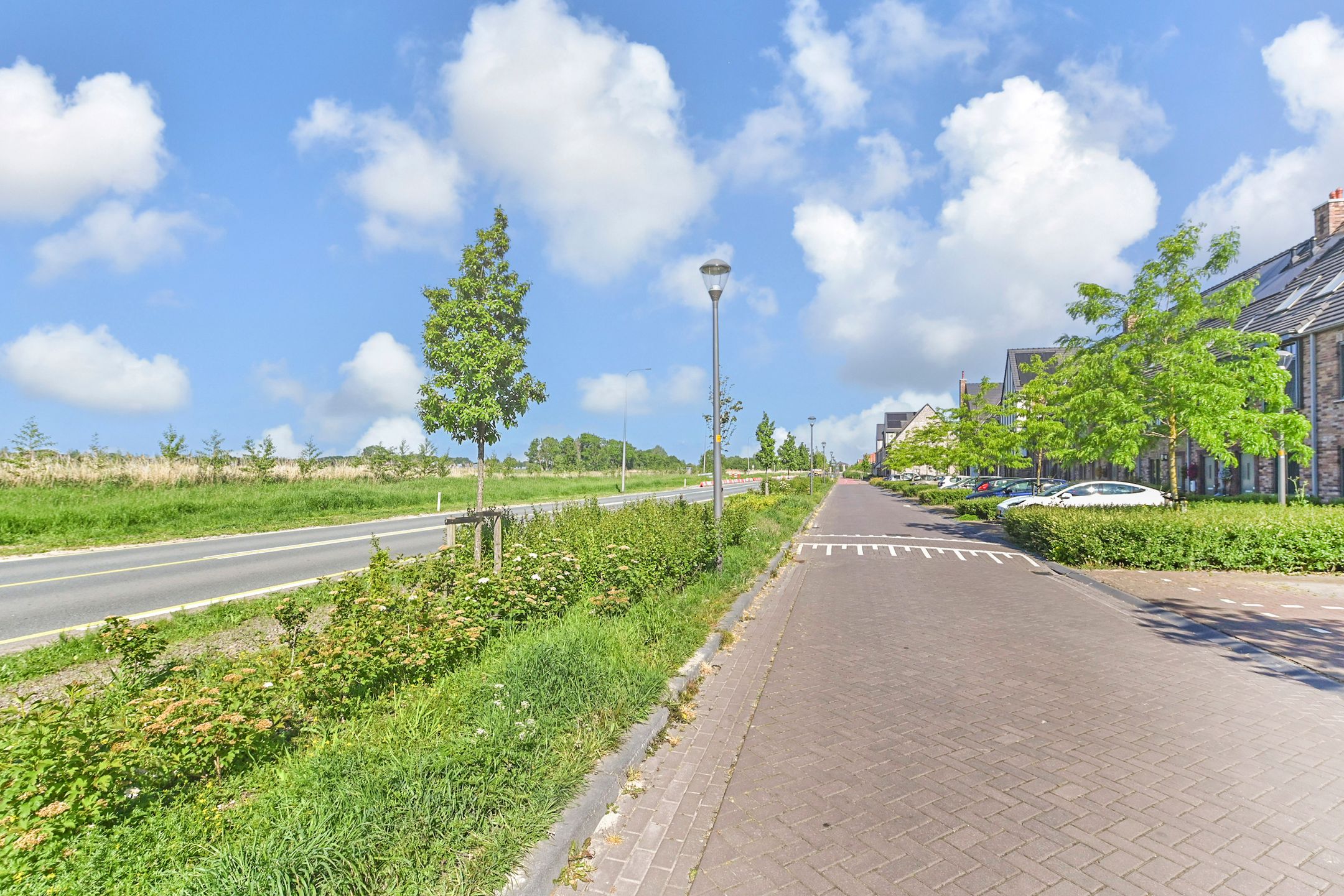 Foto 42 van Zonnebaars 53