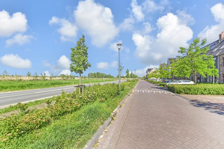 Foto 42 van Zonnebaars 53