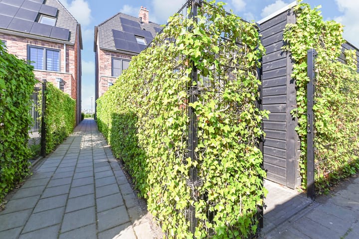 Foto 43 van Zonnebaars 53