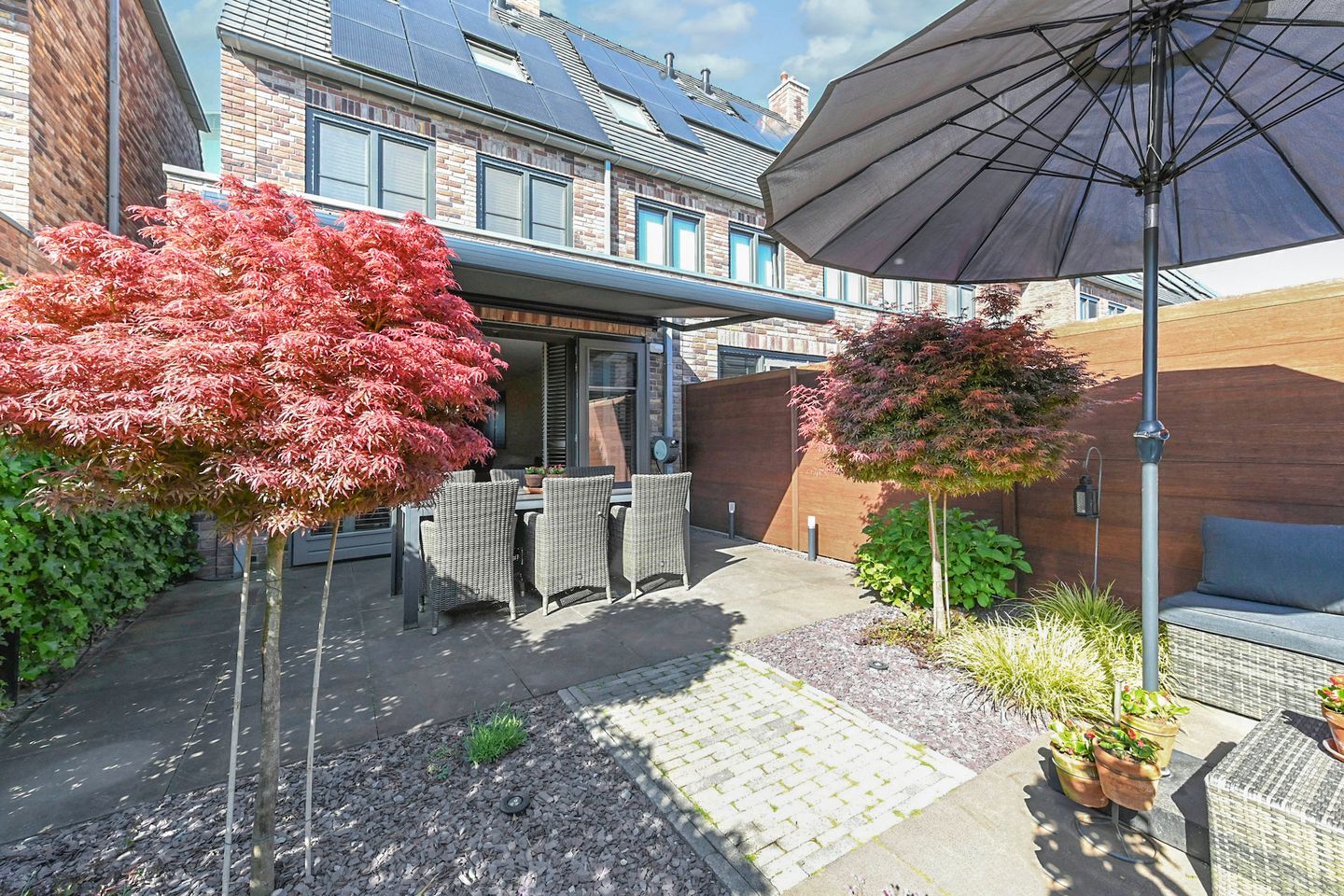 Foto 50 van Zonnebaars 53