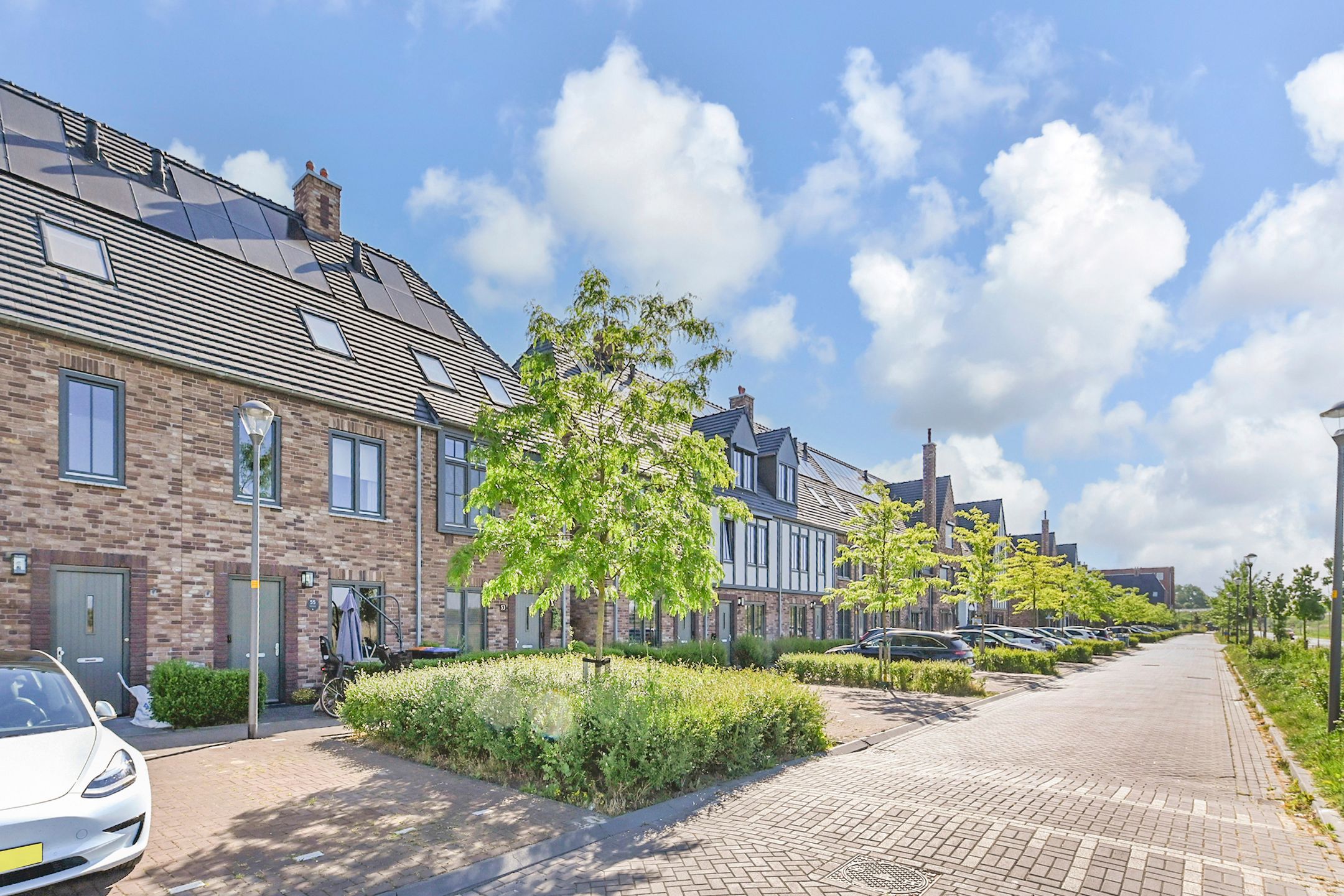 Foto 51 van Zonnebaars 53