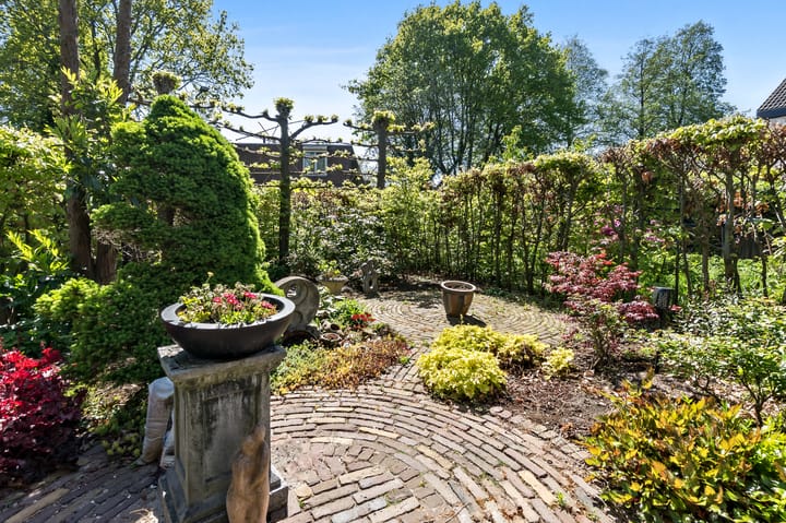 Foto 21 van Cameliadal 3