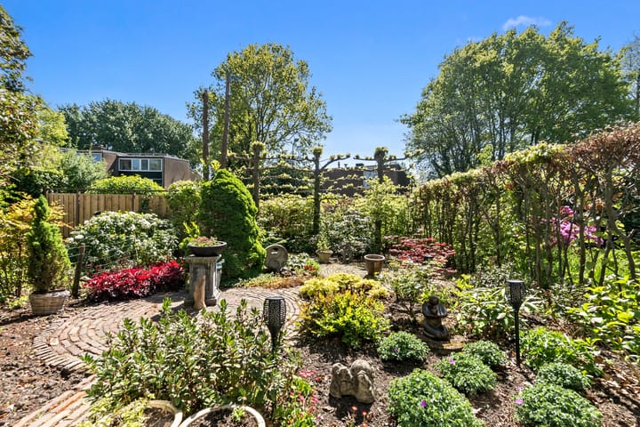 Foto 22 van Cameliadal 3