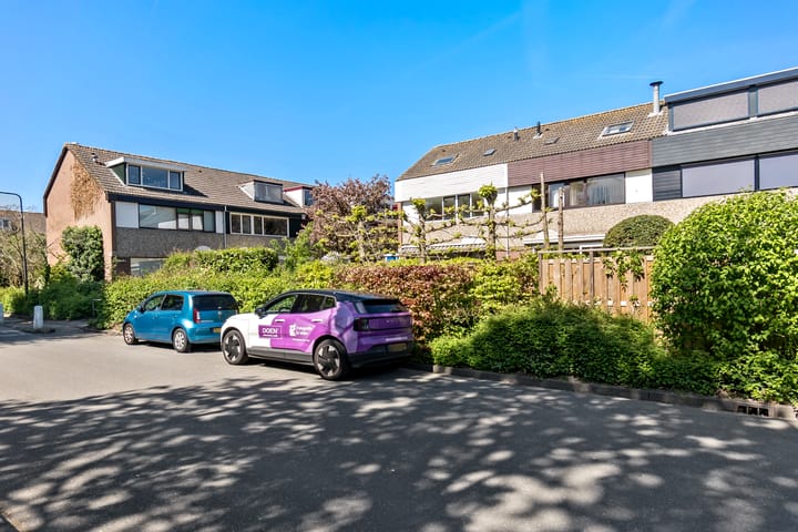 Foto 54 van Cameliadal 3