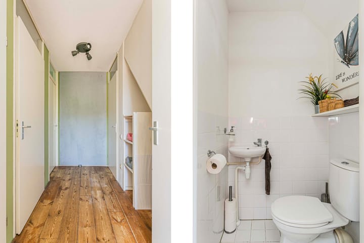 Foto 14 van Klifrakplantsoen 117