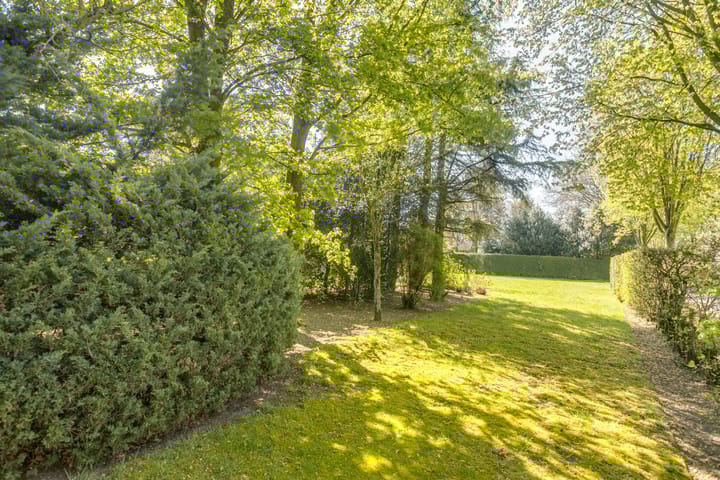 Foto 32 van Bosstraat 7