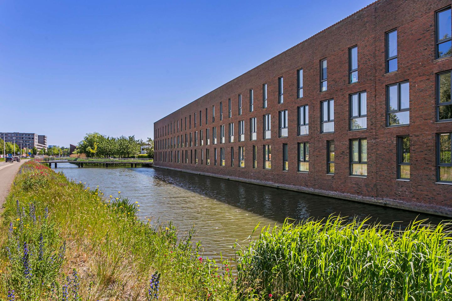 Foto 34 van Klifrakplantsoen 117