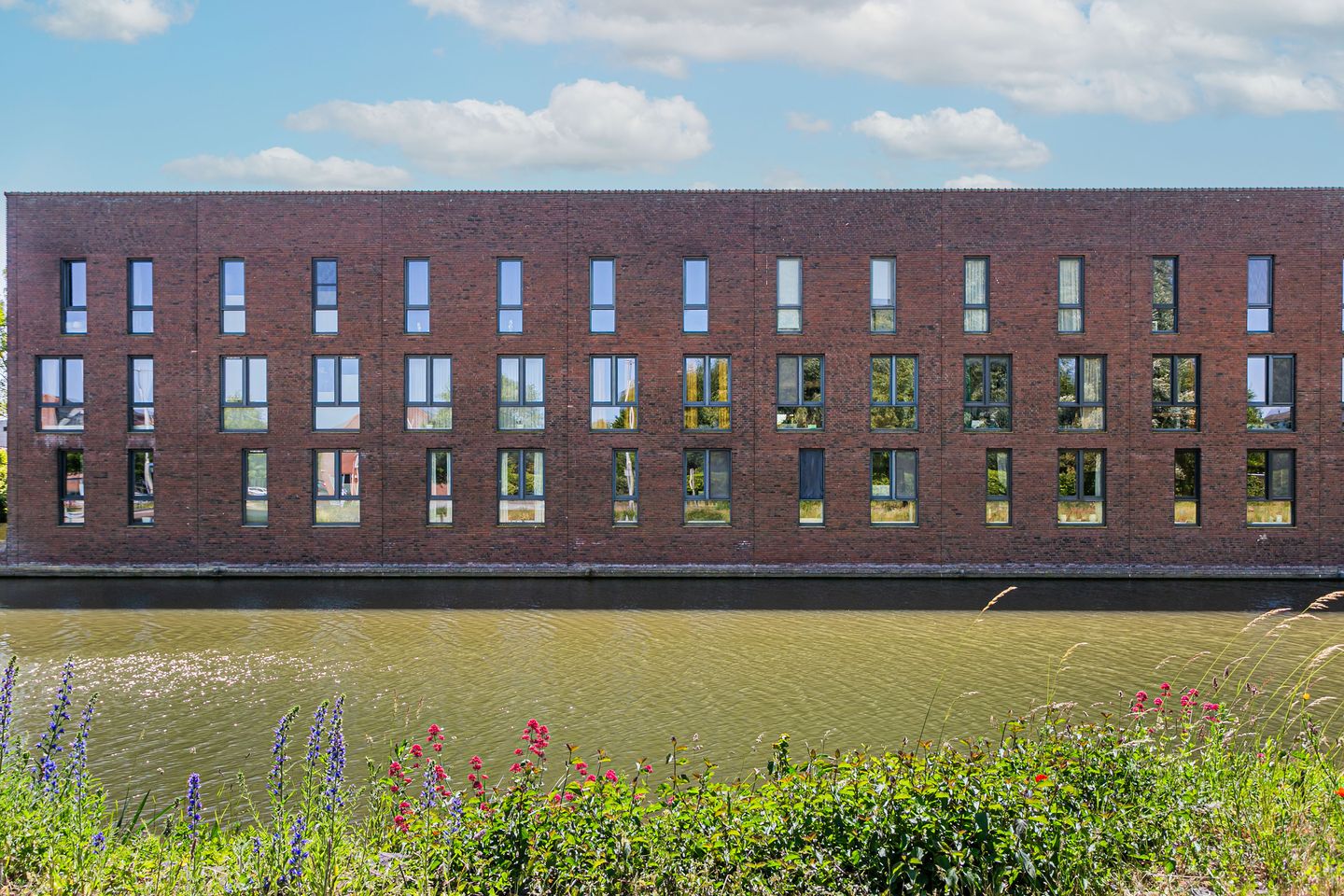 Foto 35 van Klifrakplantsoen 117