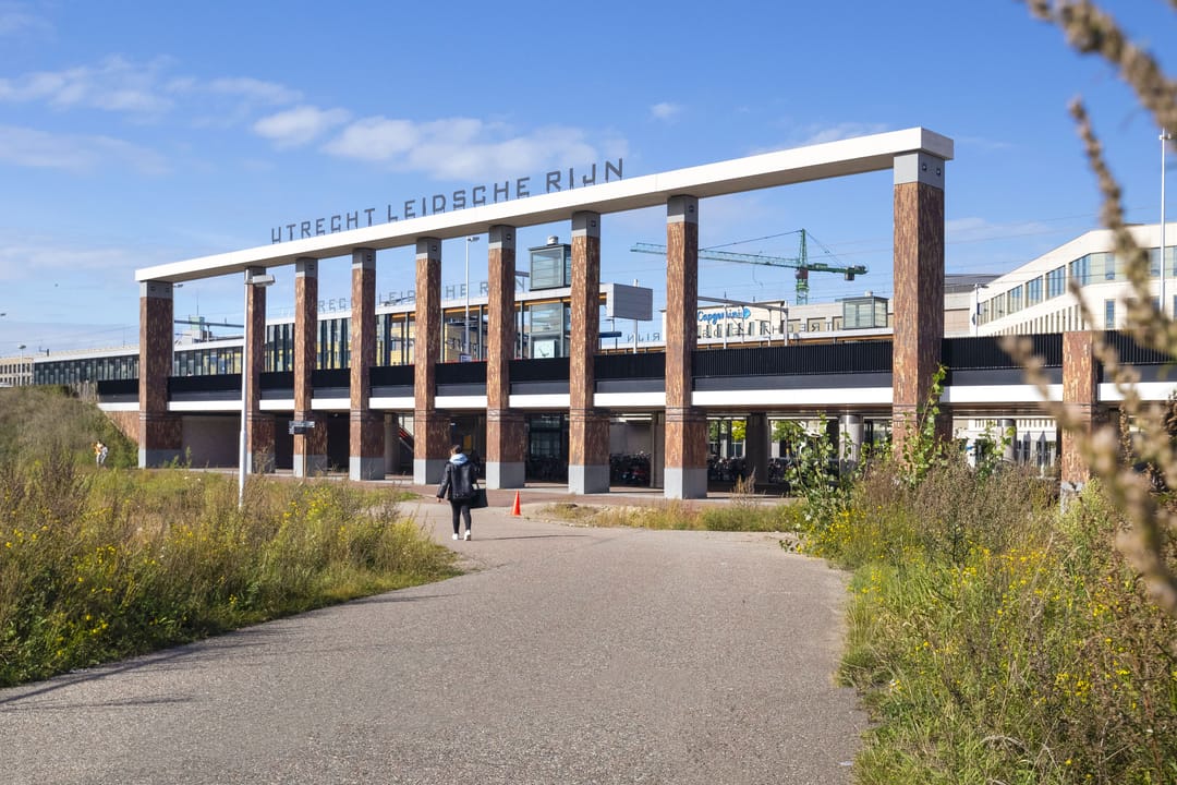 Foto 38 van Klifrakplantsoen 117