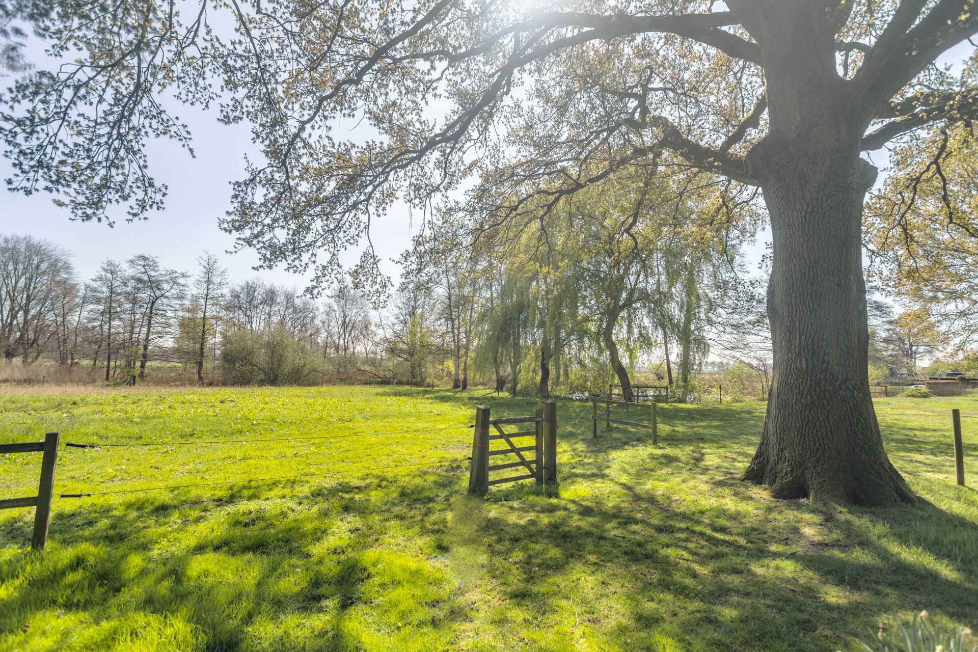 Foto 36 van Bosstraat 7