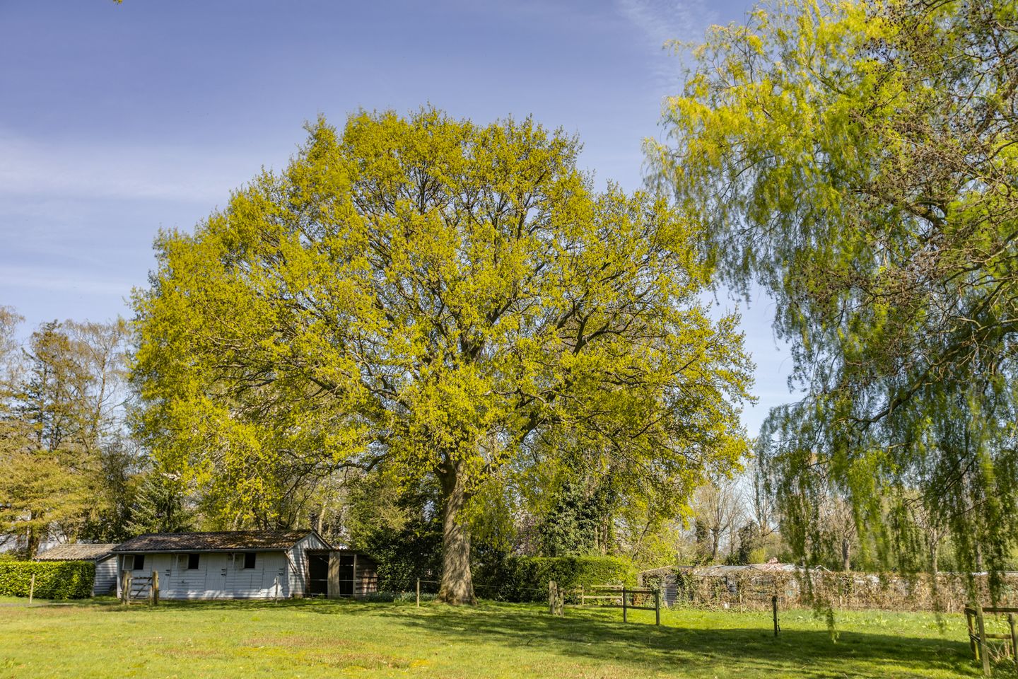 Foto 40 van Bosstraat 7