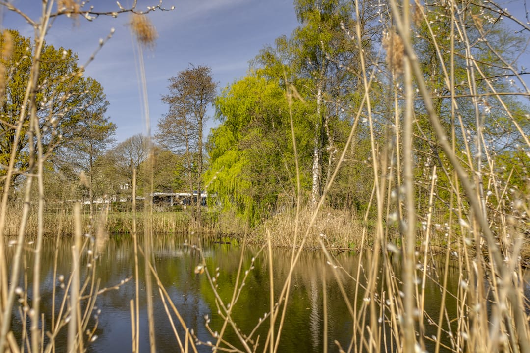 Foto 43 van Bosstraat 7