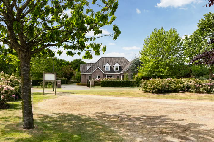 Foto 6 van Erve Wieldijk 1