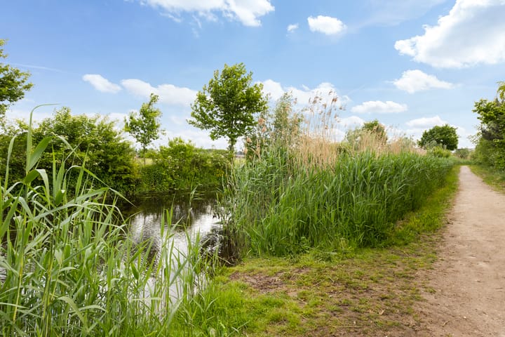 Foto 56 van Erve Wieldijk 1