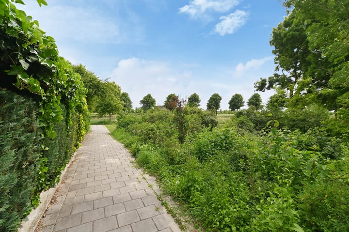 Foto 51 van Zweersstraat 8