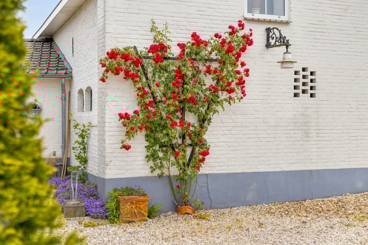 Foto 51 van Burg Thijssenstraat 26