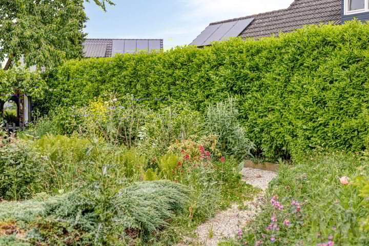 Foto 71 van Burg Thijssenstraat 26