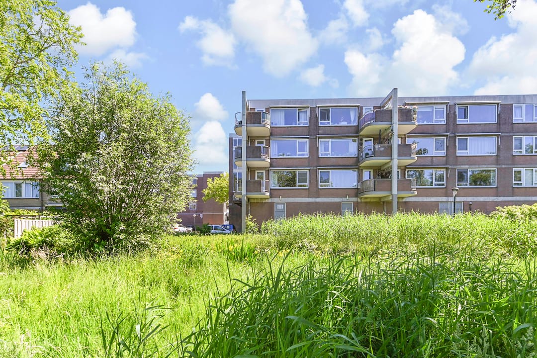 Foto 1 van Driewegplein 11