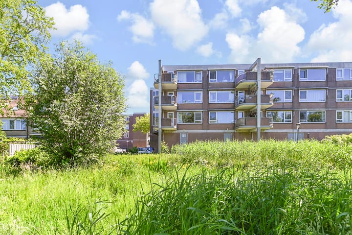 Foto 1 van Driewegplein 11