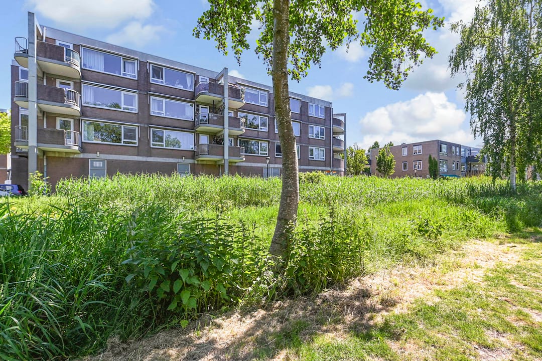 Foto 17 van Driewegplein 11