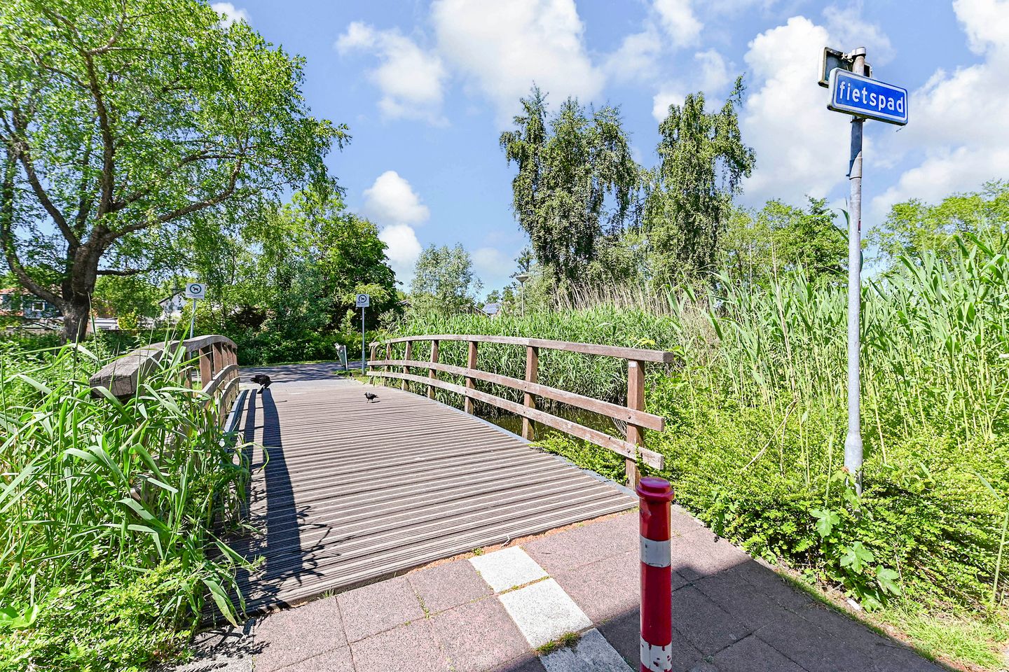 Foto 19 van Driewegplein 11