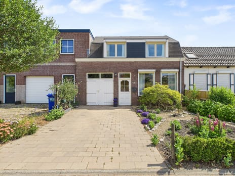 Reuzenhoek thumbnail