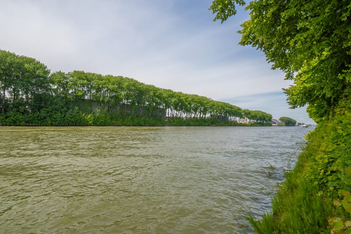 Foto 50 van Amsterdamsestraatweg 891